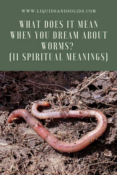 Symbolism of Worms in Dreams