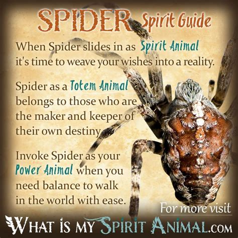 Symbolism of the Spider