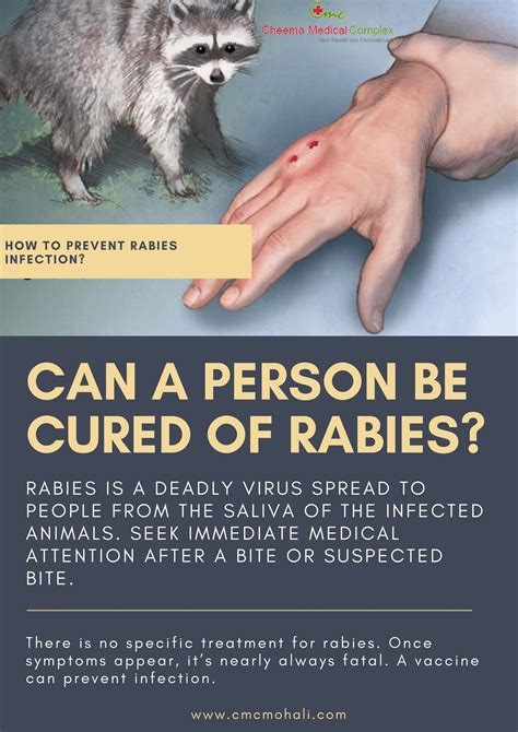 Symptoms Unleashed: Recognizing Rabies in Humans