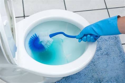Tackle the Toilet: Scrub and Disinfect