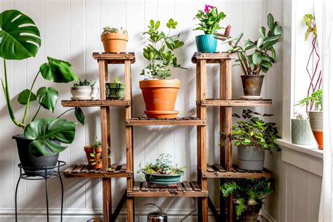 The Advantages of Indoor Gardening: Bringing Nature Inside