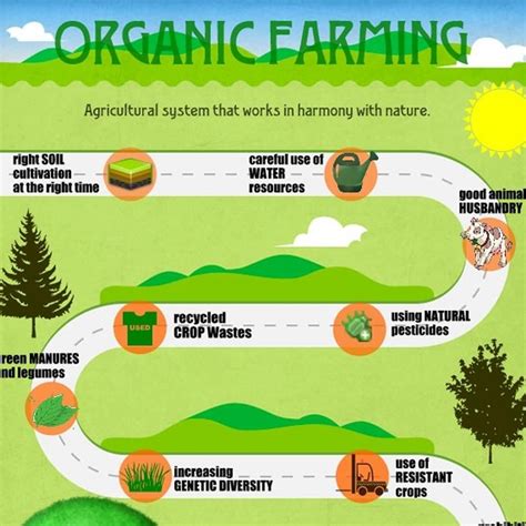 The Advantages of Organic Techniques for Cleansing Produce