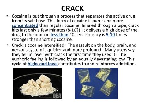 The Alluring and Devastating Force of Crack Cocaine