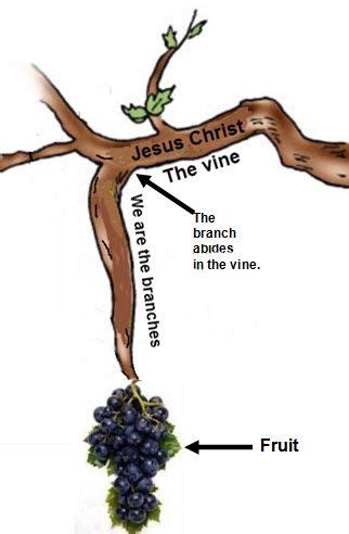 The Ancient Origins of Symbolism Associated with the Fruit of Vines