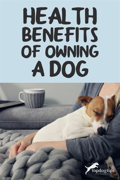 The Benefits of Having a Canine Companion