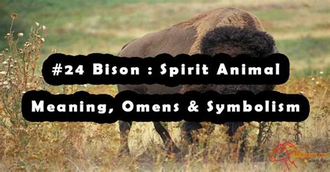 The Black Bison as a Spiritual Guide in Shamanistic Practices