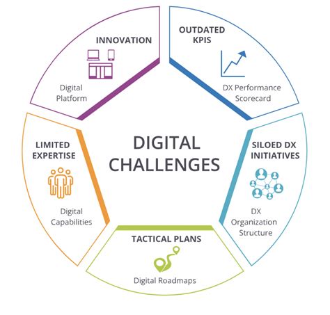 The Challenges of Harnessing Digital Networks and Strategies for Optimal Management