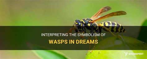 The Collective Power: Decoding the Symbolic Representation of Swarm Wasps in Dreams