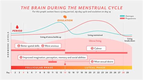 The Connection Between Menstrual Fluid Dreams and the Power of Femininity