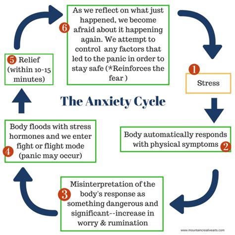 The Connection between Flies and Anxieties