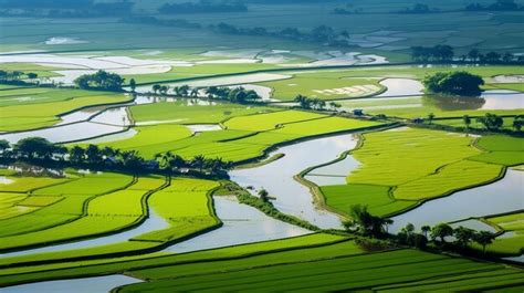 The Connection to Nature: Fields as a Source of Harmony and Tranquility