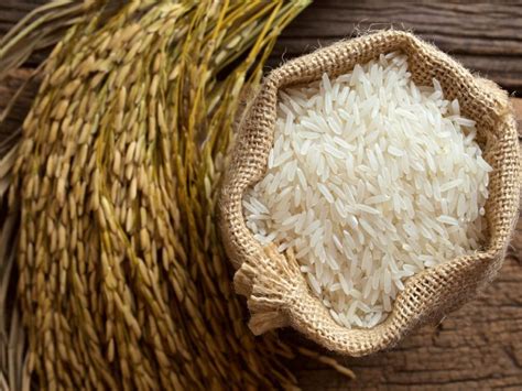 The Contemporary Interpretation of Rice Harvesting Dreams