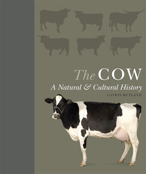 The Cultural Portrayals of Bovine Clashes in Literature and Art