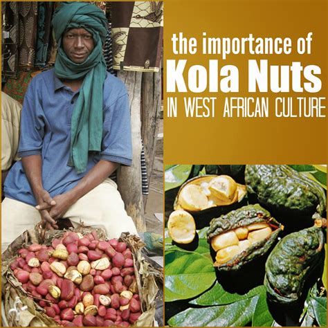 The Cultural Significance of Kola Nut