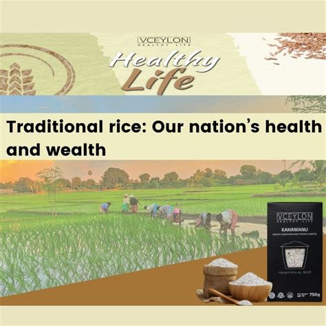 The Cultural Significance of Rice as a Fundamental Food