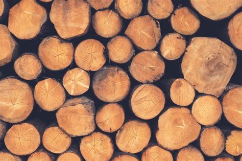 The Cultural Significance of Timber in Decoding Dreams