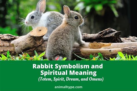 The Cultural and Historical Context of Symbolism Associated with Rabbit Eye