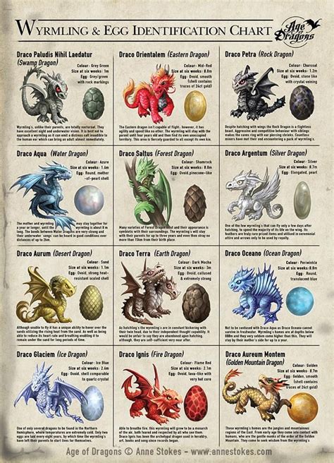 The Enigma of Dragon Egg’s Extraordinary Abilities