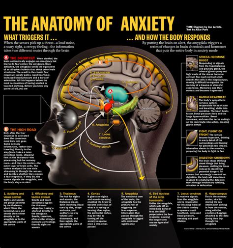 The Enigmatic Communication in Anxiety-Induced Visions