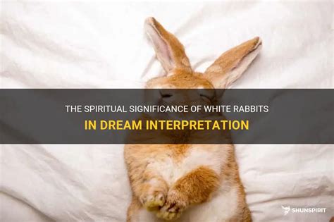 The Enigmatic Significance of Rabbit Teeth in Dreams