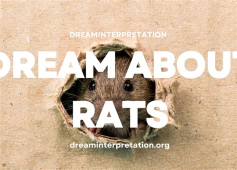 The Enigmatic Significance of Rat Dreams: Decoding their Symbolic Messages