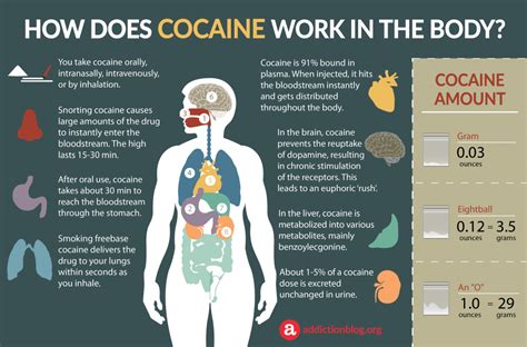 The Fascinating Science Behind the Intense Impact of Crack Cocaine