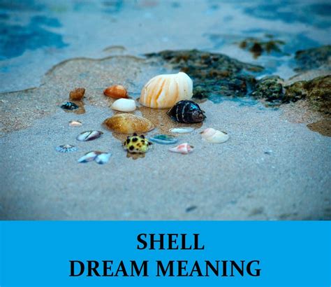 The Fascinating Significance of Shells In Mouth in Dreams