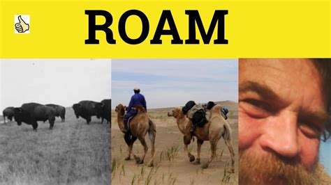 The Fascinating Symbolism of Roaming