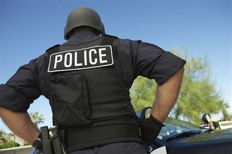 The Fear of Consequences: Unveiling the Motivation Behind Evading Law Enforcement