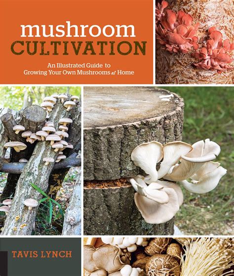 The Fundamentals of Growing Your Own Mushroom Culture at Home