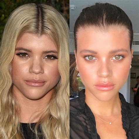 The Future Ahead: Sofia Richie's Aspirations and Projects