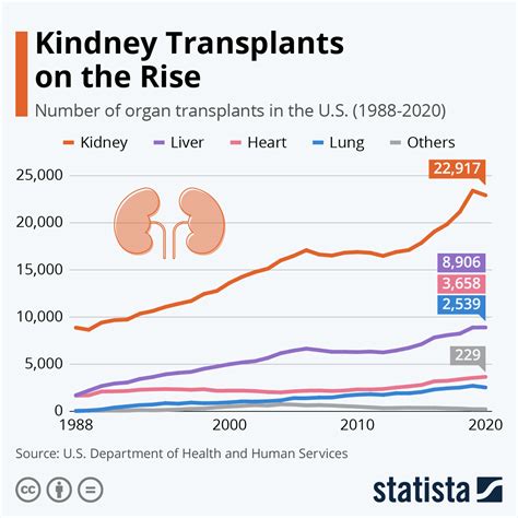 The Growing Need: The Rising Demand for Renal Transplants