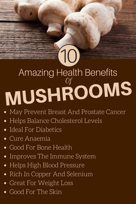 The Healing Powers and Health Benefits of Mushrooms