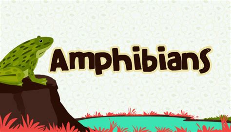 The Hidden Messages of the Amphibian World