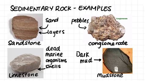 The Historical Significance of Collecting Rocks