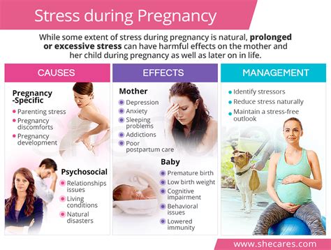 The Impact of Emotional Experiences on Expectant Mothers
