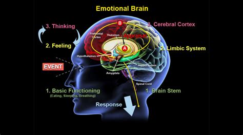 The Impact of Emotions in the Dream Experience