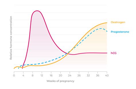 The Impact of Pregnancy Hormones on Dream Patterns