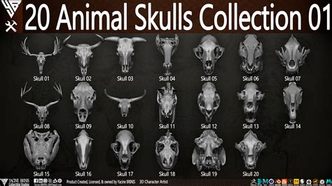 The Importance of Animal Skulls in Decoding Dreams