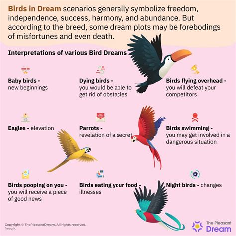 The Importance of Birds in Dream Interpretation