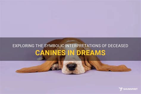 The Importance of Canines in Dream Symbolism