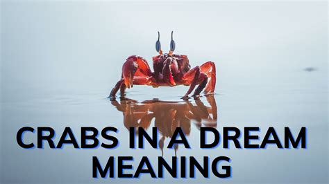 The Importance of Emotional Connection in Dreams Involving Crab-related Encounters