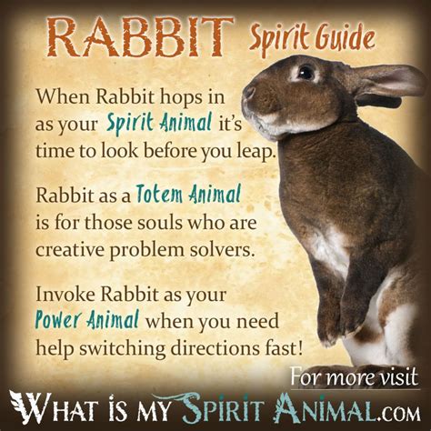 The Importance of Rabbits as Symbols in Dream Interpretation