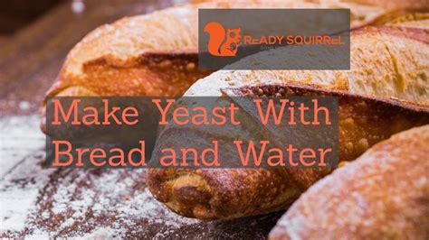 The Importance of Yeast in the Bread Making Process