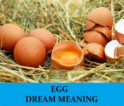 The Importance of the Egg in Dreams