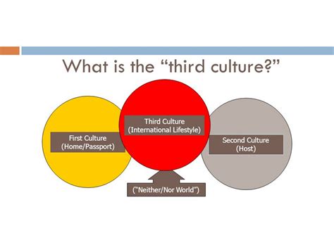 The Incredible Journey of Thyrd Culture Kyd