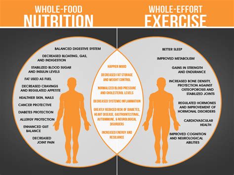 The Influence of Diet and Exercise on Body Composition