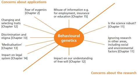 The Influence of Personal Behavior and Genetic Factors on Evergreen Verve