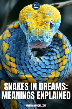 The Intricate Interpretations of Dreams Involving a Snake Vomiting: A Profound Exploration into the Symbolic Meanings