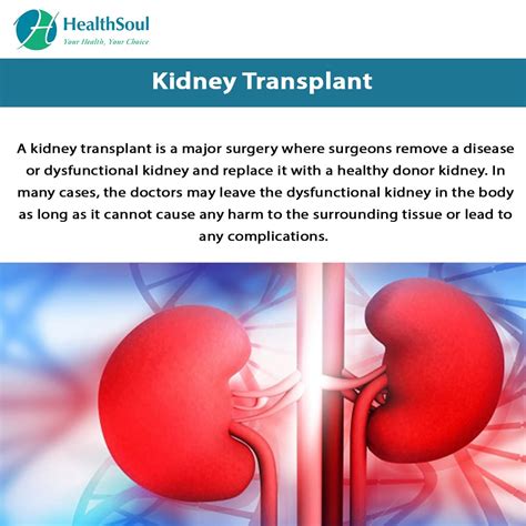 The Journey to a Fresh Start: Renal Transplants and Optimism